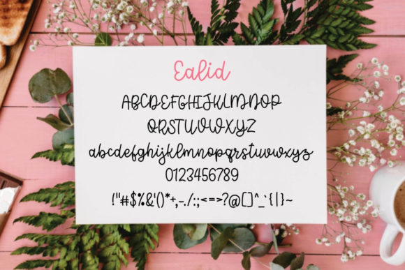 Ealid Font Poster 4