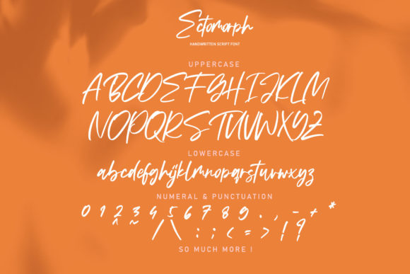 Ectomorph Font Poster 7