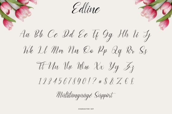 Edline Font Poster 5