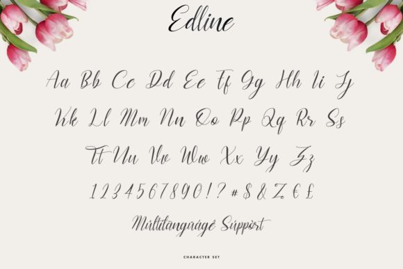 Edline Font Poster 5