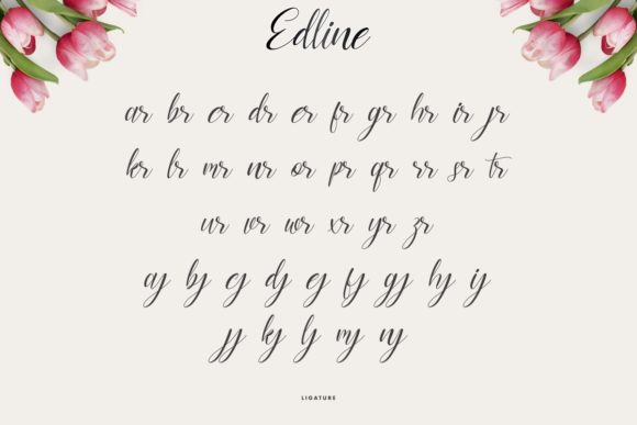 Edline Font Poster 7