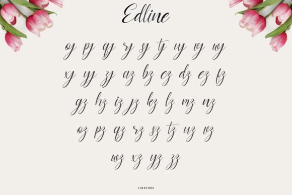 Edline Font Poster 9