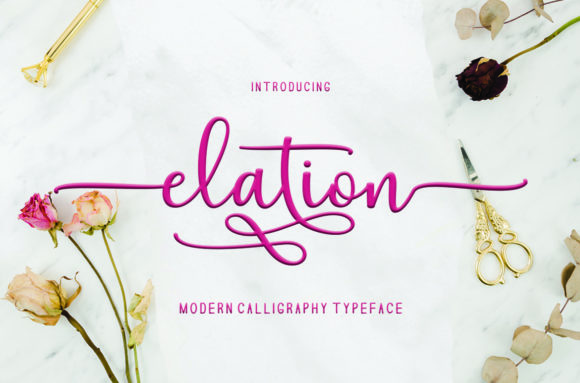 Elation Font Poster 1