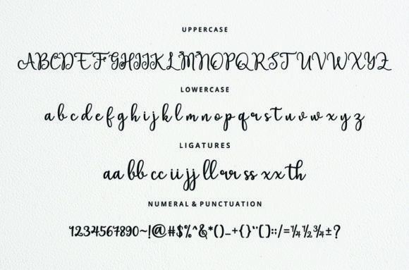 Elation Font Poster 11