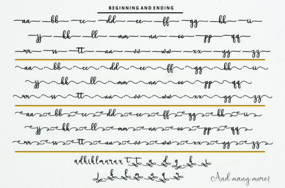Elation Font Poster 12