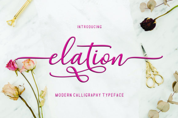 Elation Font Poster 3