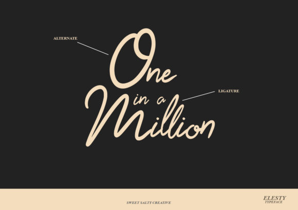 Elesty Font Poster 10