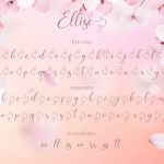 Ellise Font Poster 9