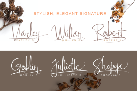 Ellyshabeth Font Poster 4