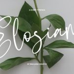 Elosiam Font Poster 1