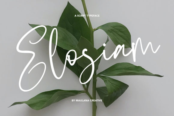 Elosiam Font