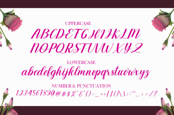 Endogan Font Poster 7