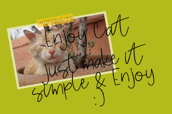 Enjoy Cat Font Poster 1