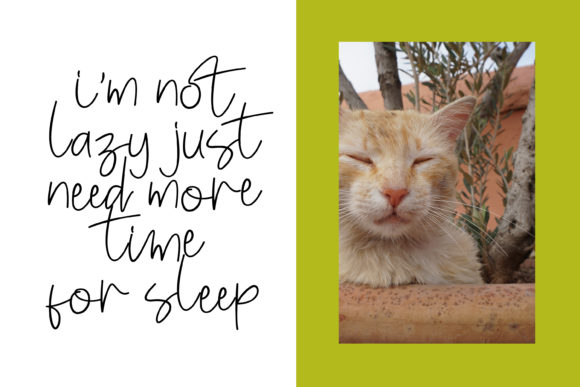 Enjoy Cat Font Poster 2