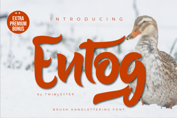 Entog Font