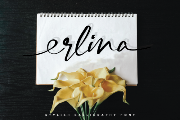 Erlina Font Poster 2