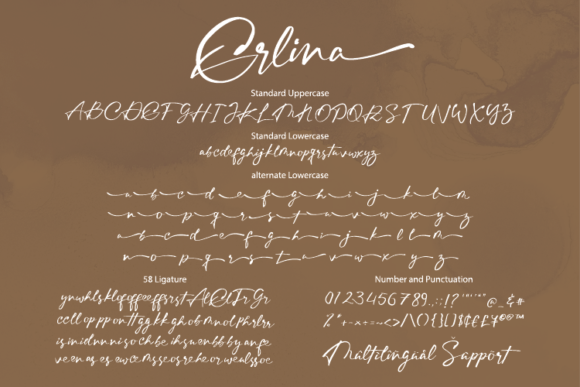 Erlina Font Poster 10