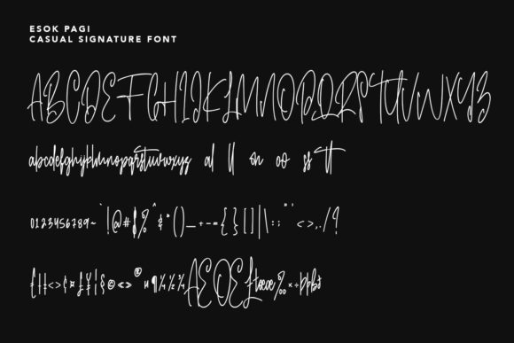 Esok Pagi Font Poster 6