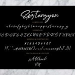 Exstensyon Font Poster 7