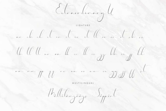 Extraordinary U Font Poster 8