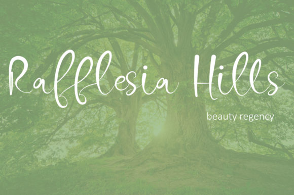 Fabulous Latte Font Poster 6
