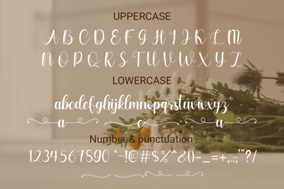 Falina Sweet Font Poster 3