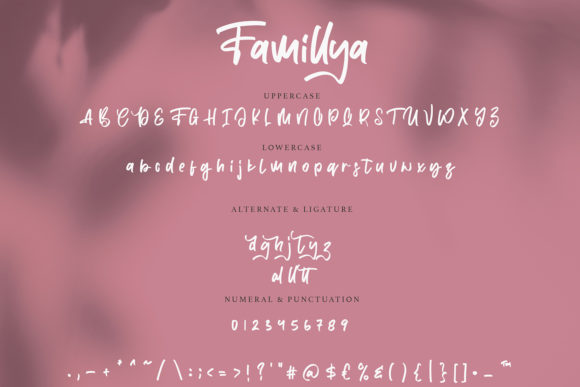 Famillya Font Poster 4