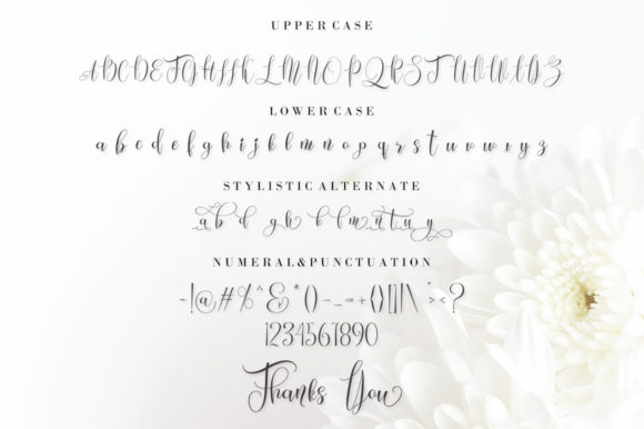 Fanitiya Font Poster 7
