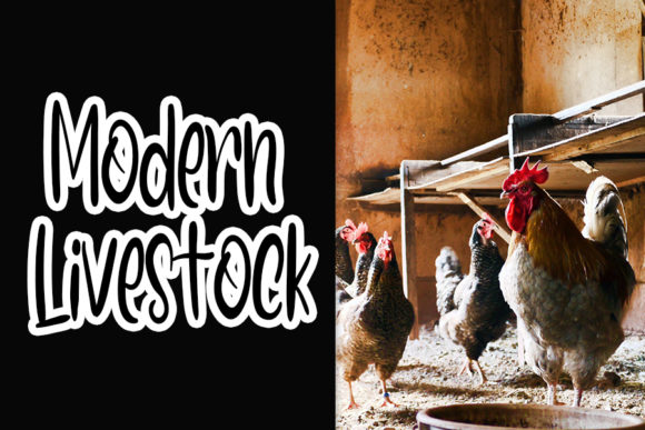 Farmhouse Font Poster 2