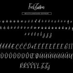 Feel Zivton Font Poster 8