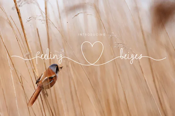 Feeling Beiges Font Feeling Beiges Font Poster 1