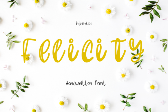 Felicity Font Poster 1