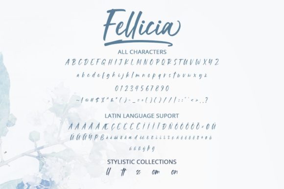 Fellicia Font Poster 2