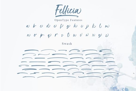 Fellicia Font Poster 3