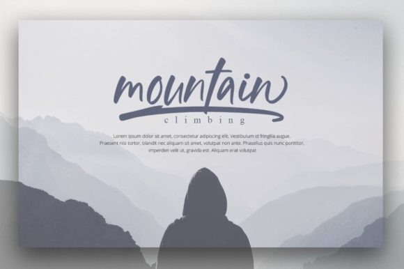 Fellicia Font Poster 4