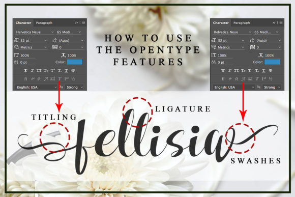 Fellissia Font Poster 6