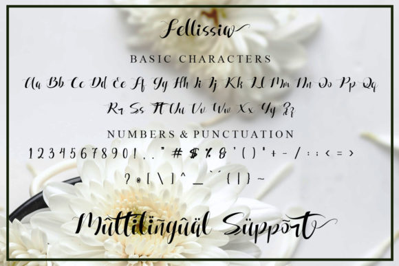 Fellissia Font Poster 7