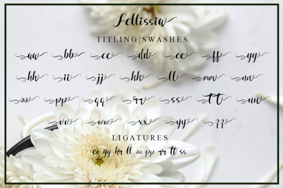 Fellissia Font Poster 8