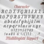 Fendysa Font Poster 14