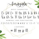 Fernynda Font Poster 6