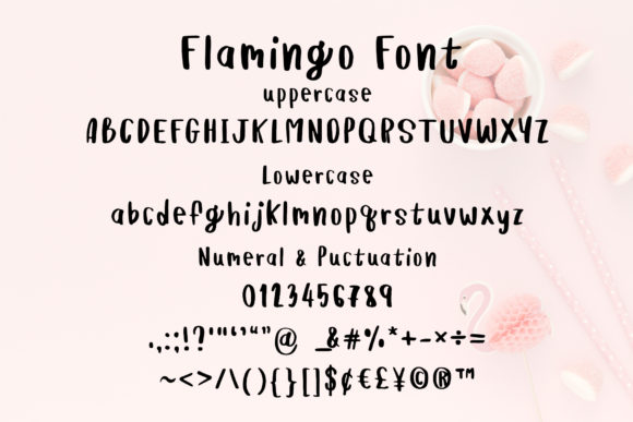 Flamingo Font Poster 7