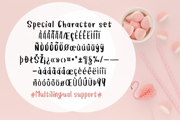 Flamingo Font Poster 8