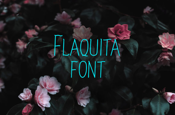 Flaquita Font Poster 1