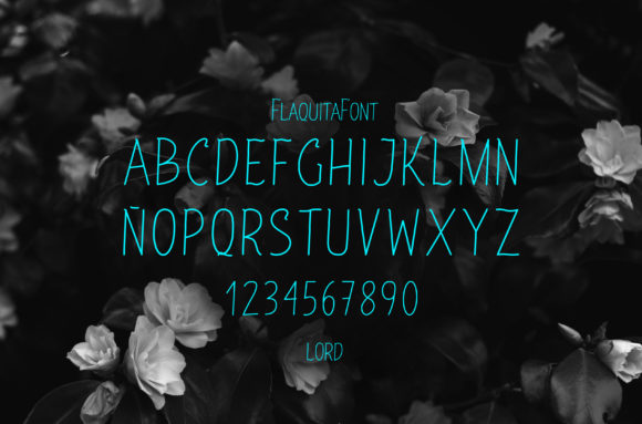 Flaquita Font Poster 2