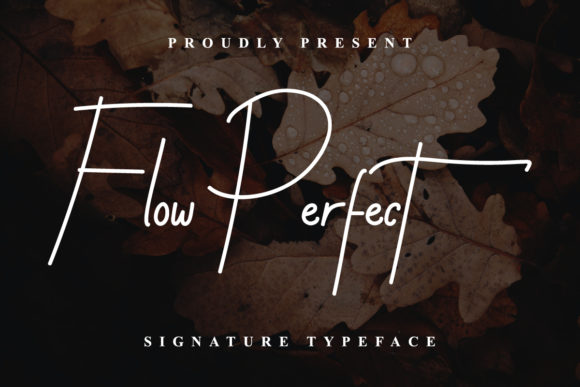 Flow Perfect Font Poster 1