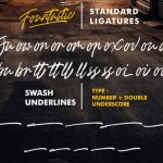 Fountastic Font Poster 11