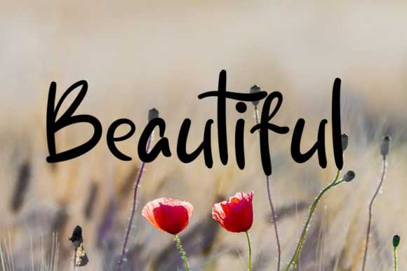 Fresh & Beauty Font Poster 3