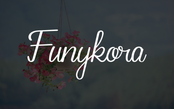 Funykora Font Poster 1