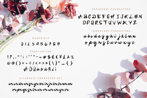 Fussion Font Poster 2
