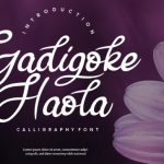 Gadigoke Haola Font Poster 1